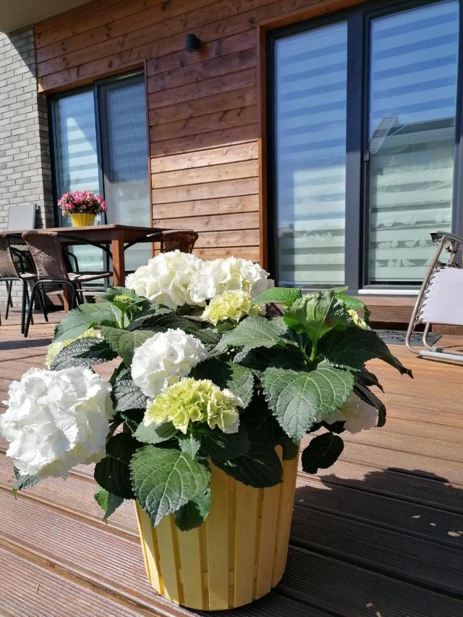Geltoni Apartamentai Palanga Exteriör bild